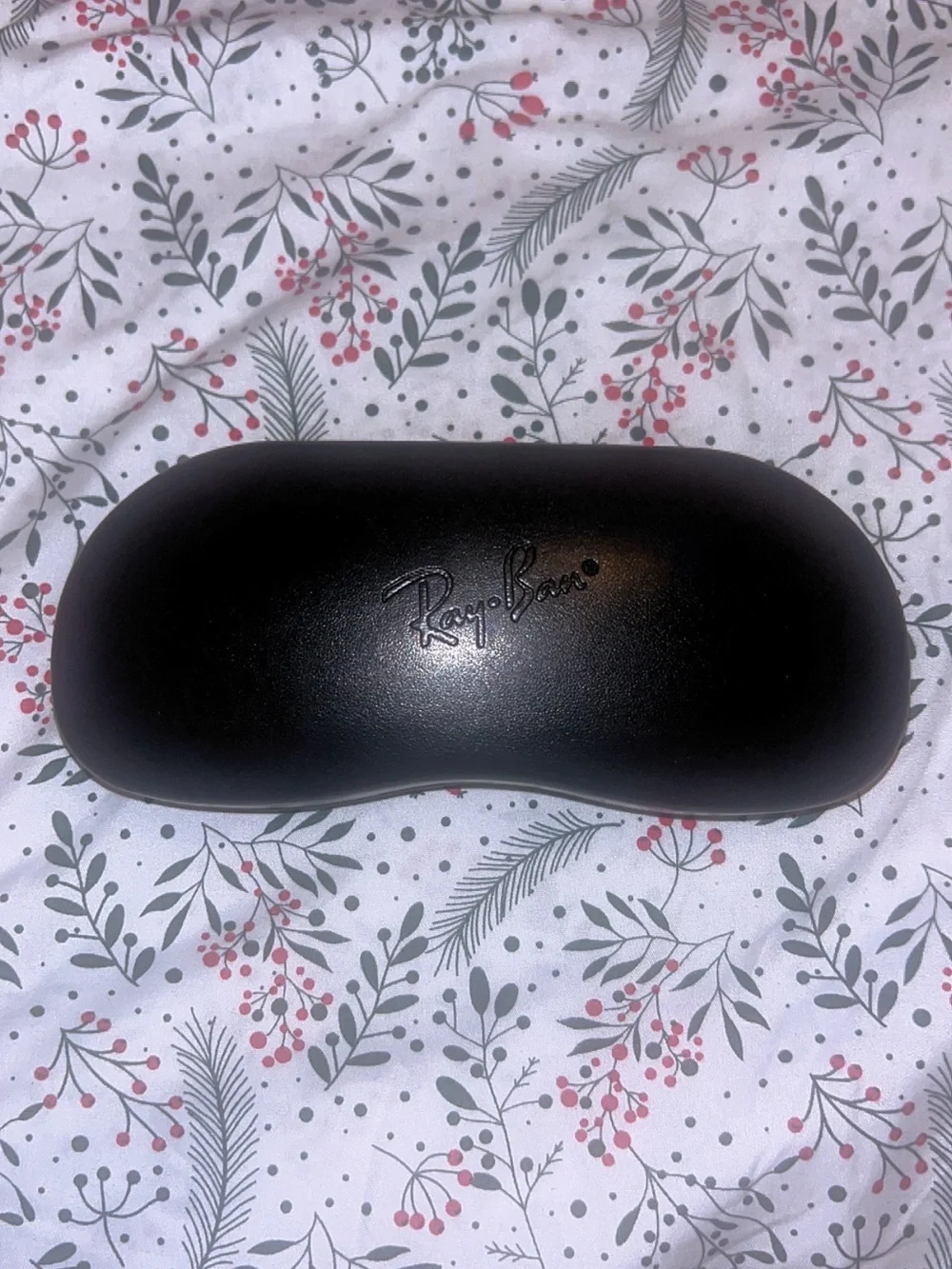 Ray-Ban Black Hard Sunglasses Case